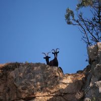 Photo de France - La randonnée du lac des Olivettes